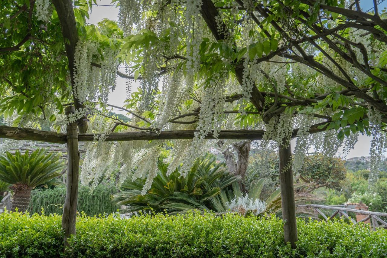 Villa La Pace 圣安吉洛 外观 照片