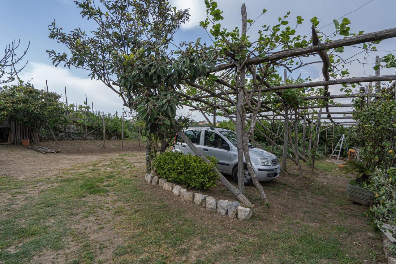 Villa La Pace 圣安吉洛 外观 照片